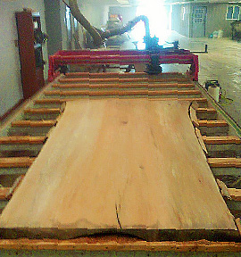 Amish Tree Service, tree cutting, tree trimming, tree removal, live edge slab, custom hard wood, John Mast Ohio Massillon