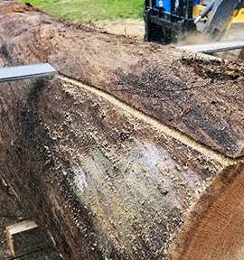 Amish Tree Service, tree cutting, tree trimming, tree removal, live edge slab, custom hard wood, John Mast Ohio Massillon