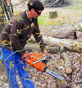Amish Tree Service, tree cutting, tree trimming, tree removal, live edge slab, custom hard wood, John Mast Ohio Massillon