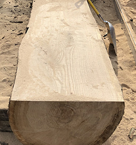 Amish Tree Service, tree cutting, tree trimming, tree removal, live edge slab, custom hard wood, John Mast Ohio Massillon