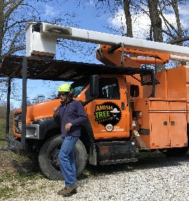 Amish Tree Service, tree cutting, tree trimming, tree removal, live edge slab, custom hard wood, John Mast Ohio Massillon