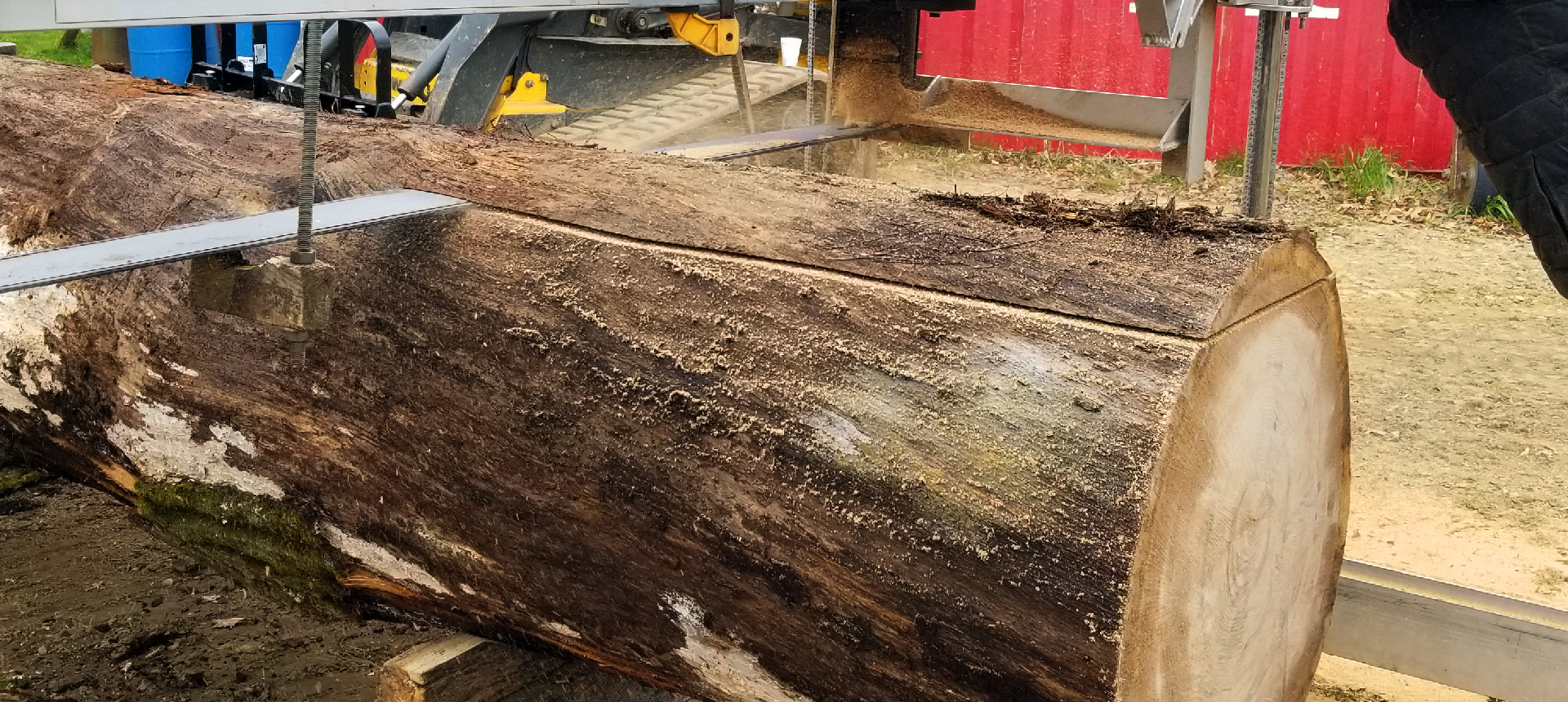 tree cutting, tree trimming, tree removal, live edge slab, custom hard wood, john mast ohio amish tree services