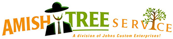 tree cutting, tree trimming, tree removal, live edge slab, custom hard wood, john mast ohio amish tree services